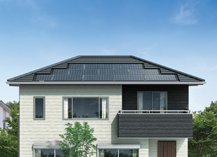 �k�s���ފ������ ���i�Љ�